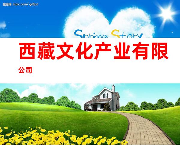 西藏文化产业有限公司